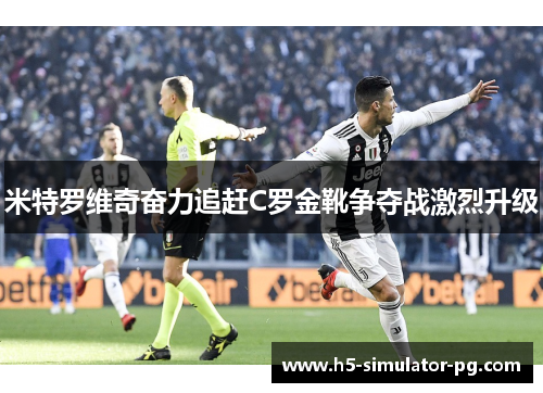 米特罗维奇奋力追赶C罗金靴争夺战激烈升级 米特罗维奇奋力追赶C罗金靴争夺战激烈升级